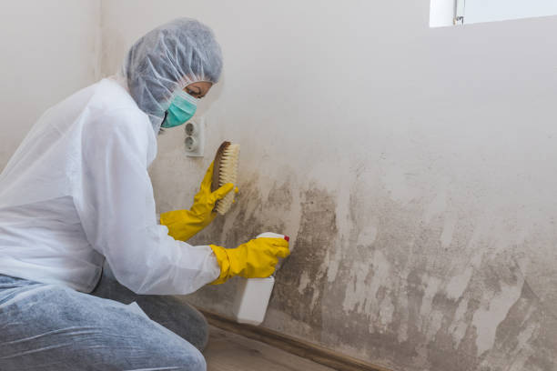 Water Damage Restoration in Livingston, TN